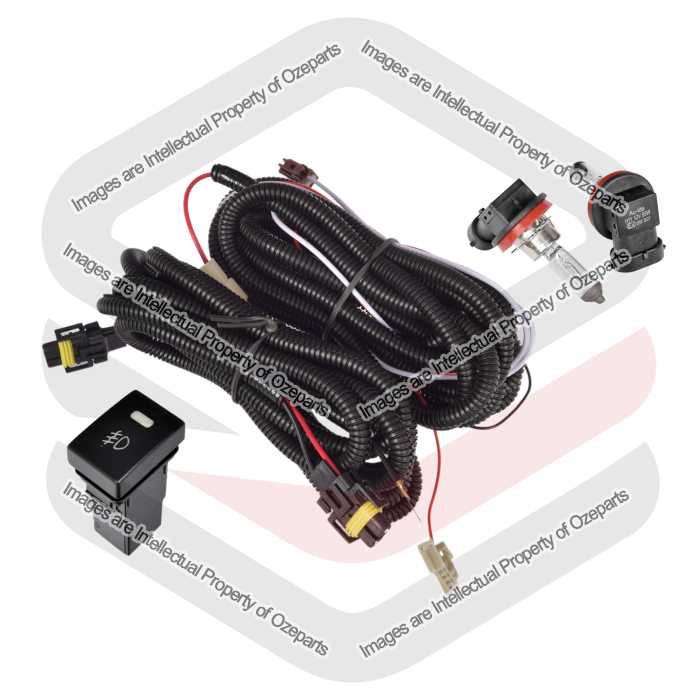 Universal Fog Light Wire Harness (Type 74 Switch) + 2 x H11 Globes (Halogen)